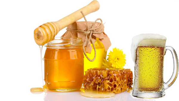 Gội đầu bằng bia và mật ong giúp tóc mọc nhanh, phục hồi hư tổn