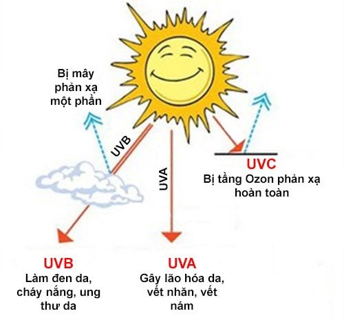 Tác động của các tia UV