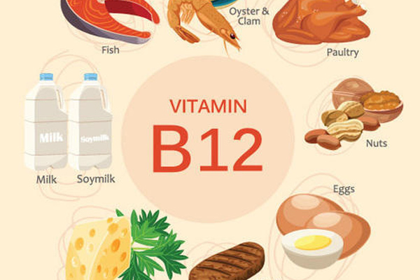 Vậy vitamin B12 có trong thực phẩm nào?
