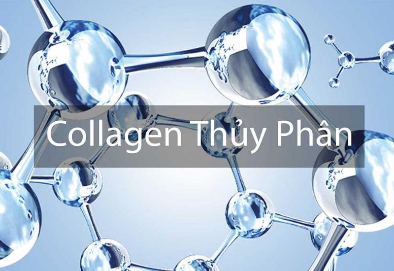 Nên ưu tiên dạng collagen thủy phân