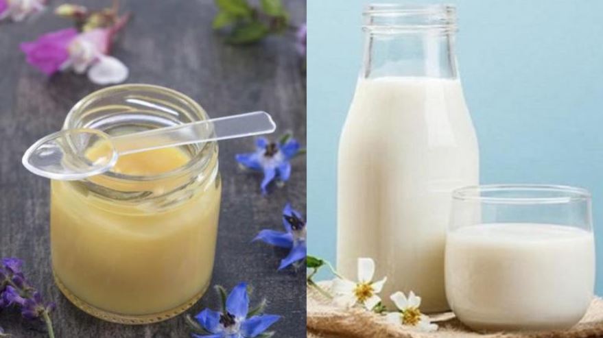 Sữa ong chúa và sữa tươi