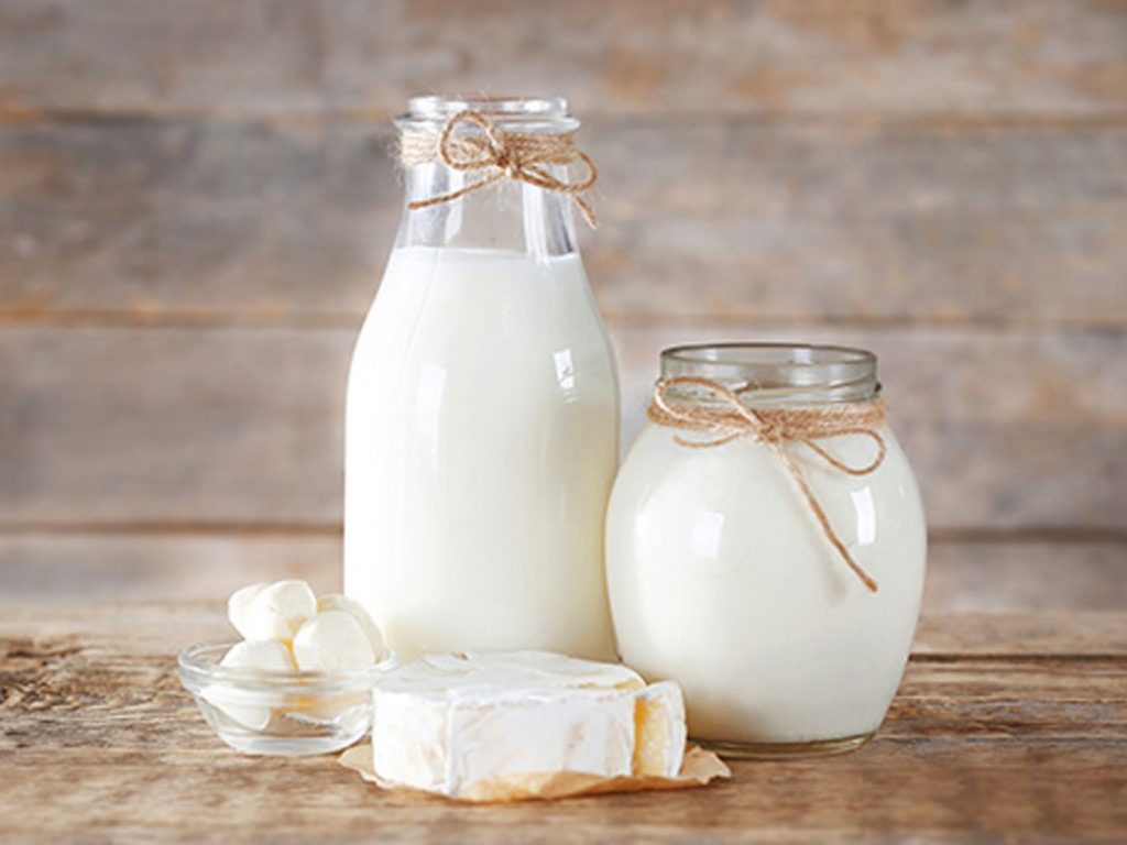 Sữa và những sản phẩm từ sữa
