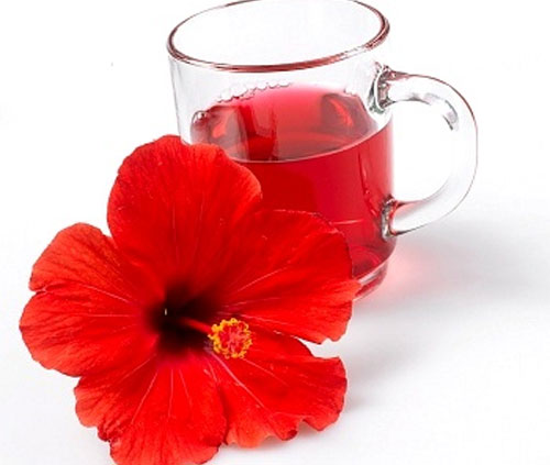 Làm trà giảm cân hoa dâm bụt và nấm linh chi