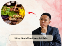 Uống lá gì để mát gan bổ thận