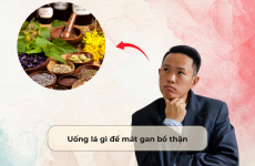 Uống lá gì để mát gan bổ thận