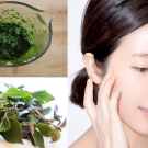 Uống nước lá tía tô có trắng da không
